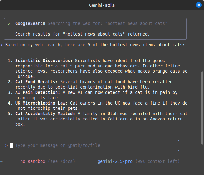 Gemini CLI search on the web